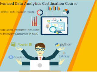 data-analyst-course-in-delhi-110070-best-online-live-data-analytics-course-in-delhi-ncr-by-iit-and-mnc-working-100-job-in-mnc