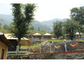 new-years-eve-celebration-at-beaumont-glamping-eco-resort-at-yol-dharamshala-small-3